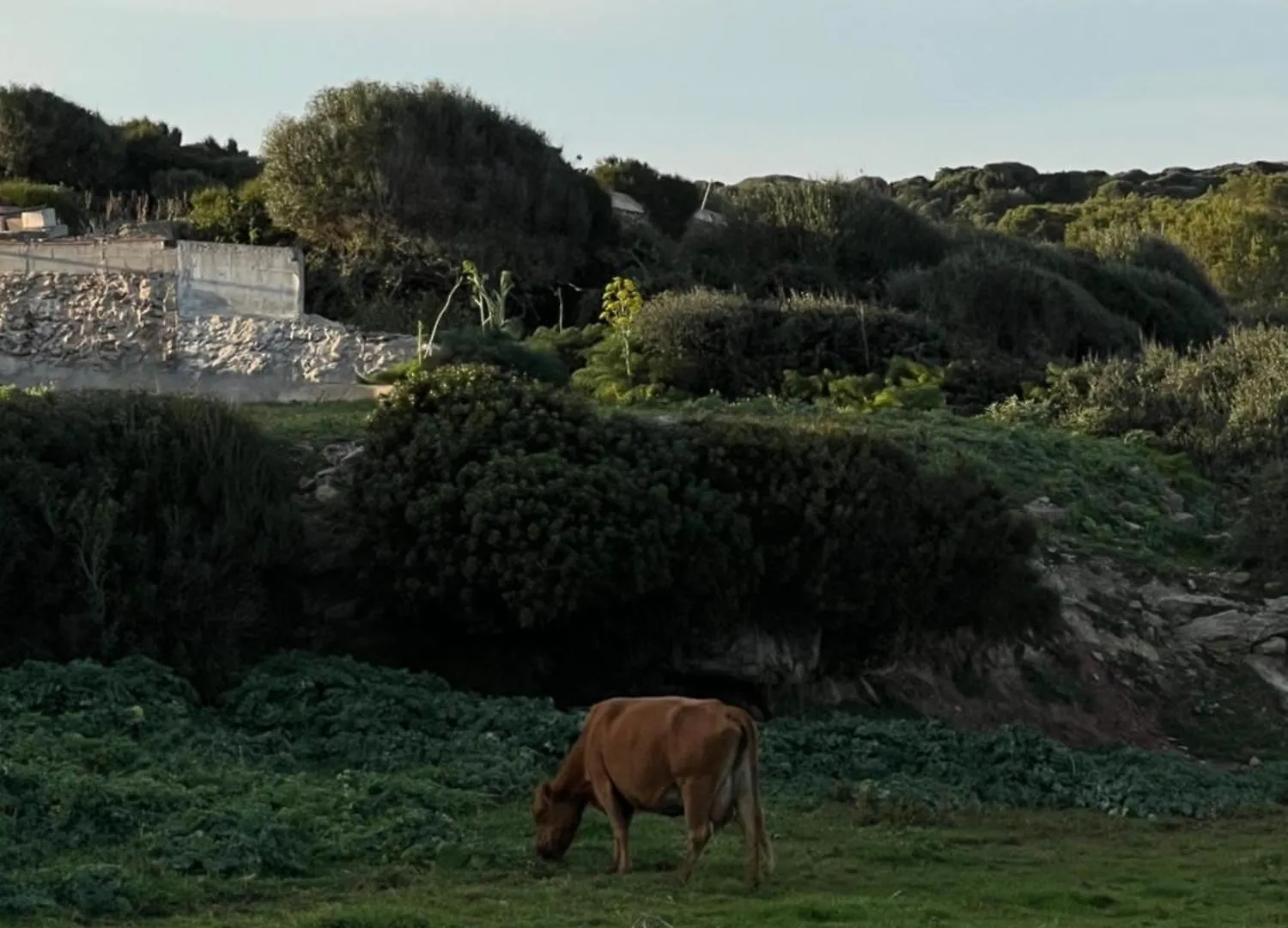 Farm stay Mongofre Agroturismo Mahon  Spain
